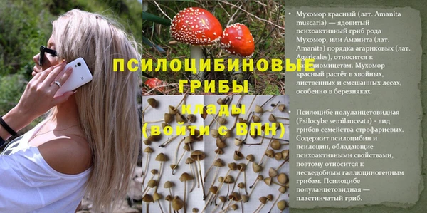скорость Вяземский