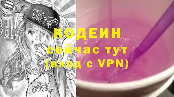 скорость Вяземский